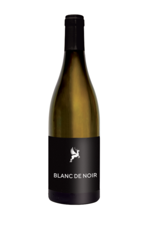 Blanc de noir, un blanc 100% gamay